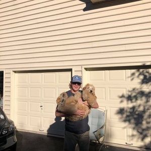 Meet your Posher, Benjamin